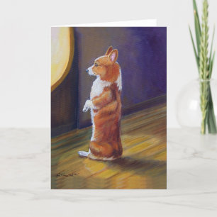 Pembroke Welsh Corgi Kort