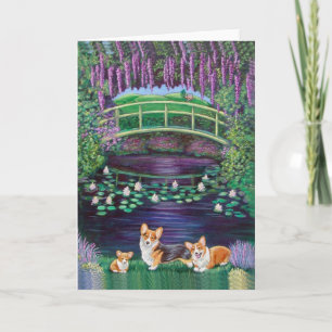 Pembroke Welsh Corgi Kort