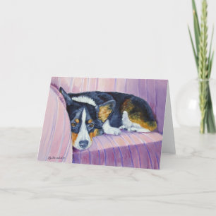 Pembroke Welsh Corgi Kort