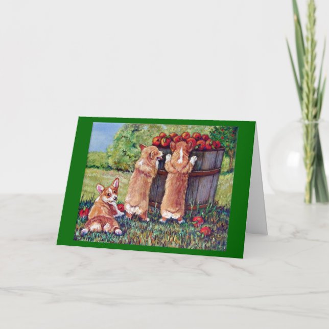 Pembroke Welsh Corgi-kort Kort (Framsida)