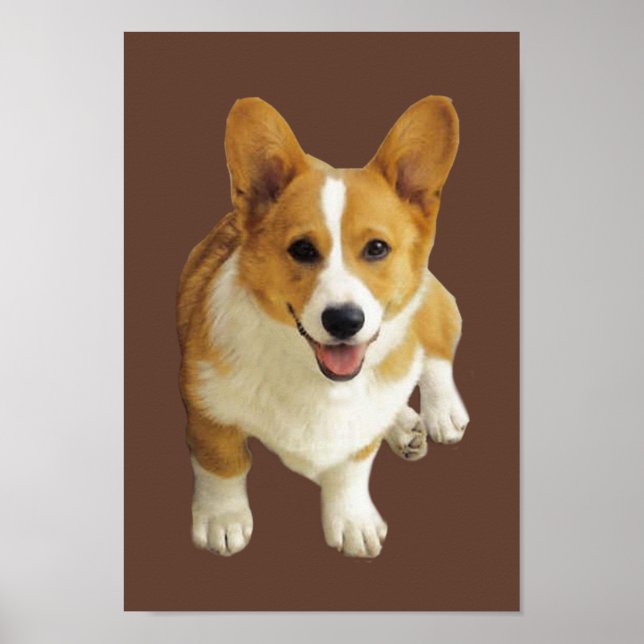 Pembroke Welsh Corgi Lycklig Skriv ut Poster (Framsidan)