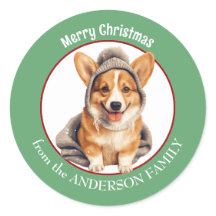 Pembroke Welsh Corgi på Winter Hat-julen