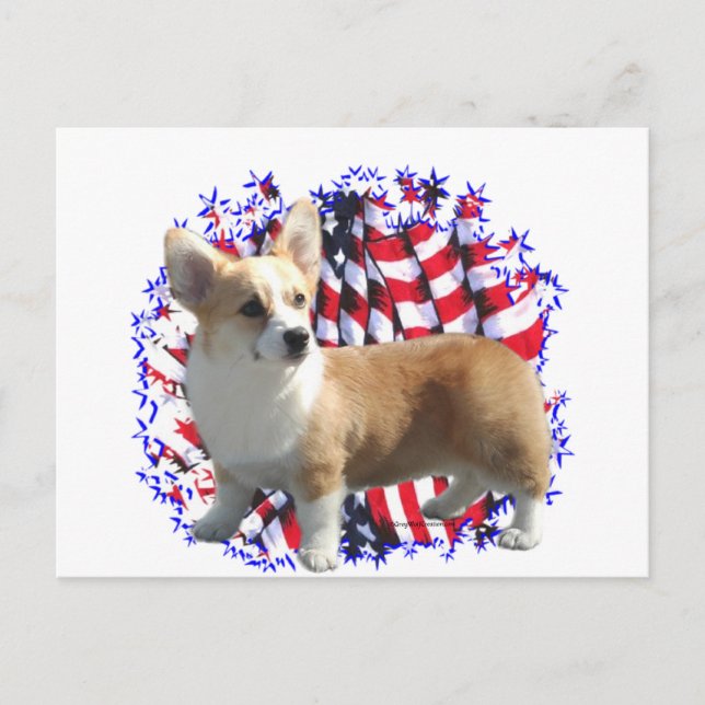 Pembroke Welsh Corgi Patriot Vykort (Framsida)