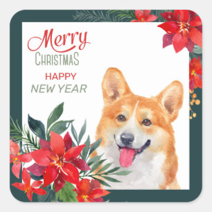 Pembroke Welsh Corgi Poinsettia Bouquet jul Fyrkantigt Klistermärke