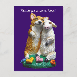 Pembroke Welsh Corgi Postcards Vykort