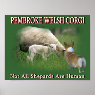 PEMBROKE WELSH CORGI POSTER