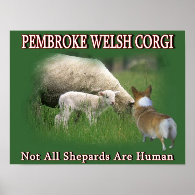 PEMBROKE WELSH CORGI POSTER (Framsidan)