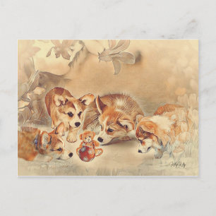 Pembroke Welsh Corgi Puppies Helg Vykort