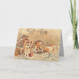 Pembroke Welsh Corgi Puppies Kort