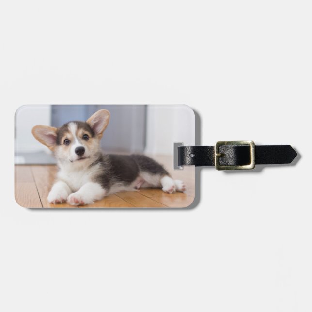 Pembroke Welsh Corgi Puppy Bagagebricka (Horisontell Framsida)