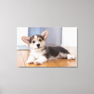 Pembroke Welsh Corgi Puppy Canvastryck
