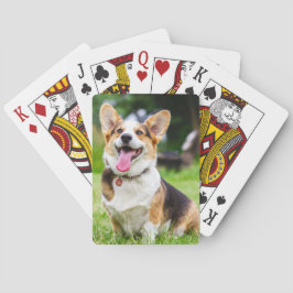 Pembroke Welsh Corgi Puppy Hund Casinokort
