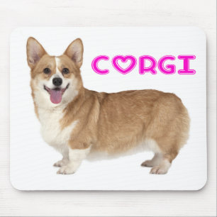 Pembroke Welsh Corgi Puppy Hund Musmatta