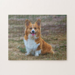 Pembroke Welsh Corgi Puppy Hund pingszons pussel