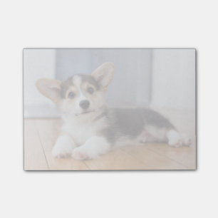 Pembroke Welsh Corgi Puppy Post-it Block