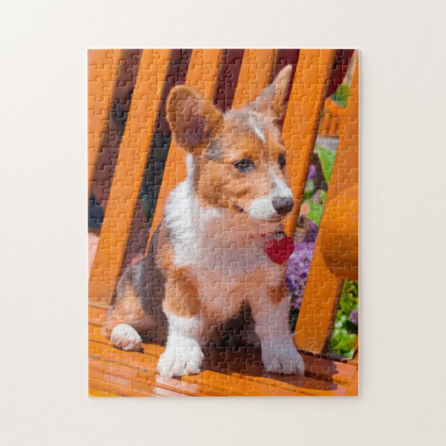 Pembroke Welsh Corgi puppy sitta i parkbänk Pussel (Vertikal)