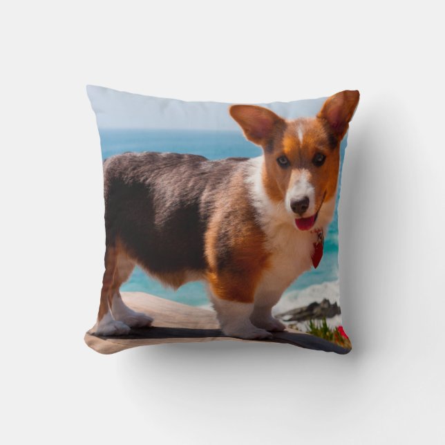 Pembroke Welsh Corgi puppy stod på bord Kudde (Framsida)
