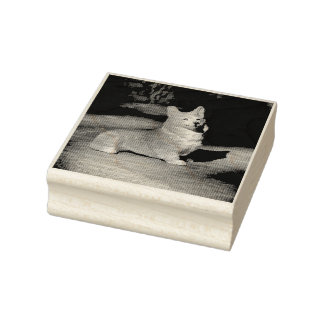 Pembroke Welsh Corgi Stämpel