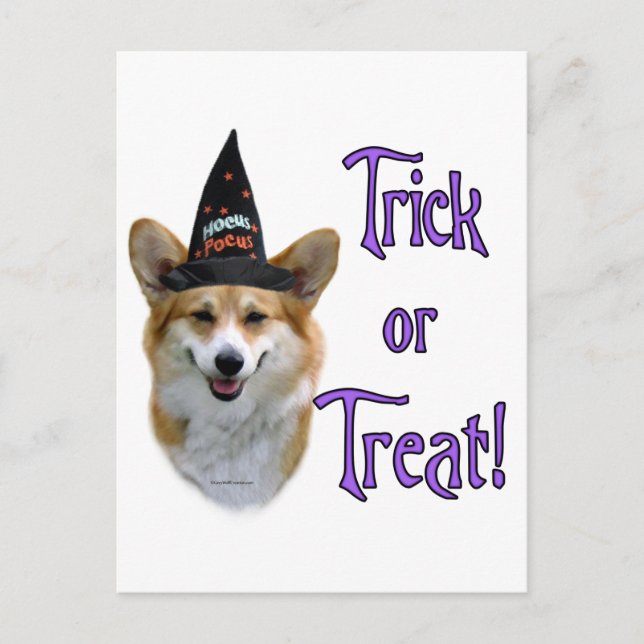 Pembroke Welsh Corgi Trick Vykort (Framsida)