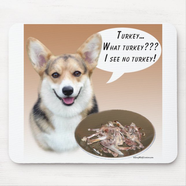 Pembroke Welsh Corgi Turkiet Musmatta (Framsidan)