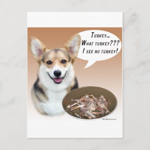 Pembroke Welsh Corgi Turkiet Vykort