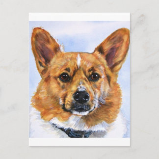 Pembroke Welsh Corgi Vykort