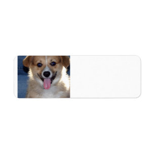 pembrokewelsh corgi puppy.png returadress etikett