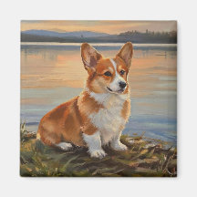 Pembrook Welsh Corgi