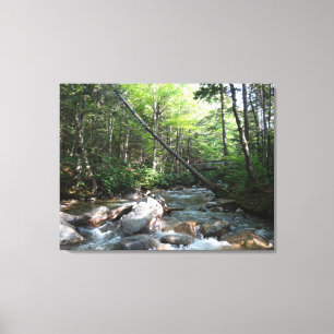 Pemigewasset River Bridge i New Hampshire Canvastryck