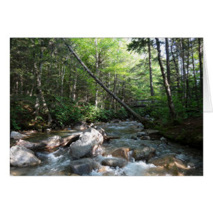 Pemigewasset River Bridge i New Hampshire Hälsningskort