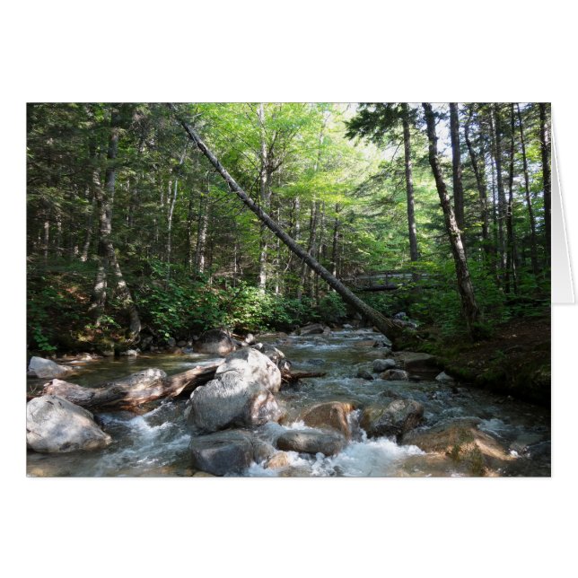 Pemigewasset River Bridge i New Hampshire Hälsningskort (Framsidan Horizontal)
