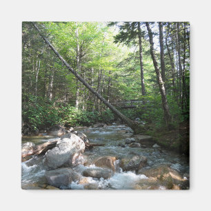 Pemigewasset River Bridge i New Hampshire Magnet