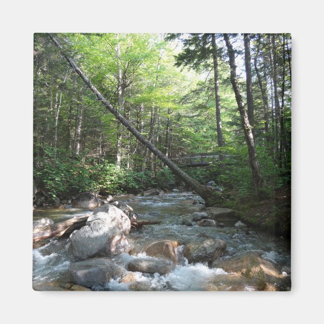 Pemigewasset River Bridge i New Hampshire Magnet (Framsidan)