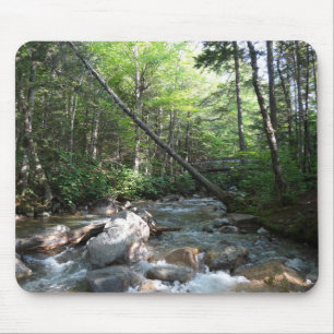 Pemigewasset River Bridge i New Hampshire Musmatta