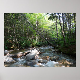 Pemigewasset River Bridge i New Hampshire Poster