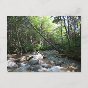 Pemigewasset River Bridge i New Hampshire Vykort