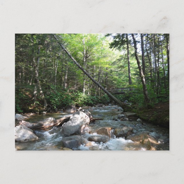 Pemigewasset River Bridge i New Hampshire Vykort (Framsida)
