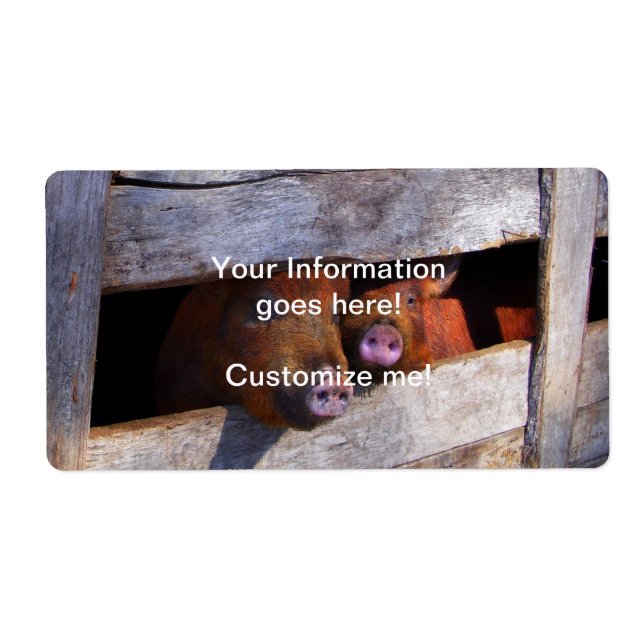 Pen Pair Peeking Piggies Fraktsedel (Framsidan)