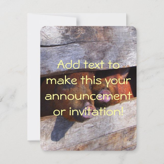 Pen Pair Peeking Piggies Inbjudningar (Framsida)