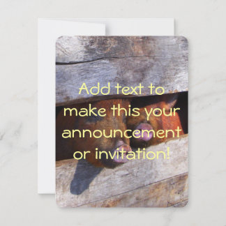 Pen Pair Peeking Piggies Inbjudningar