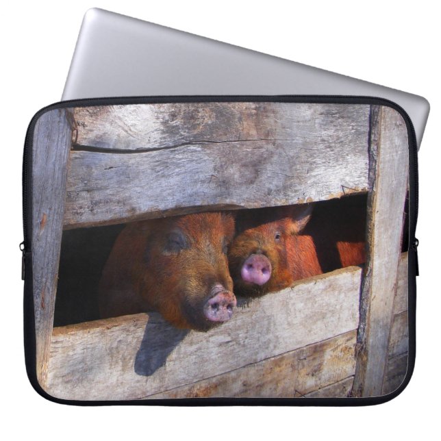 Pen Pair Peeking Piggies Laptop Sleeve (Framsidan)