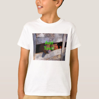 Pen Pair Peeking Piggies Tee Shirt