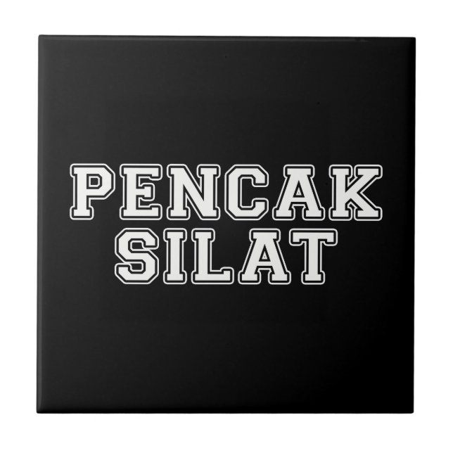 Pencak Silat Kakelplatta (Framsidan)