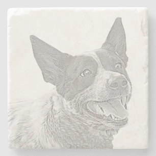 Pencil Australian Cattle Hund Marble Underlägg