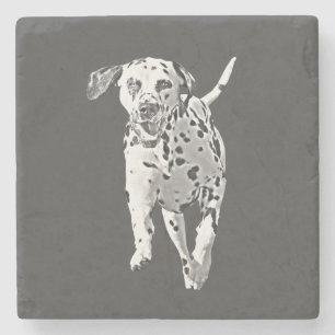 Pencil Dalmatian Marble Stone Underlägg