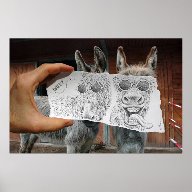 Pencil Vs Camera - Crazy Donkey Poster (Framsidan)