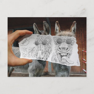 Pencil Vs Camera - Crazy Donkey Vykort