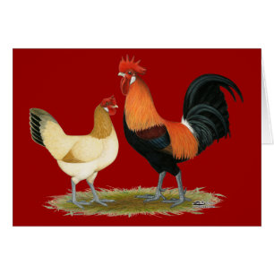 Penedesenca Chickens OBS Kort