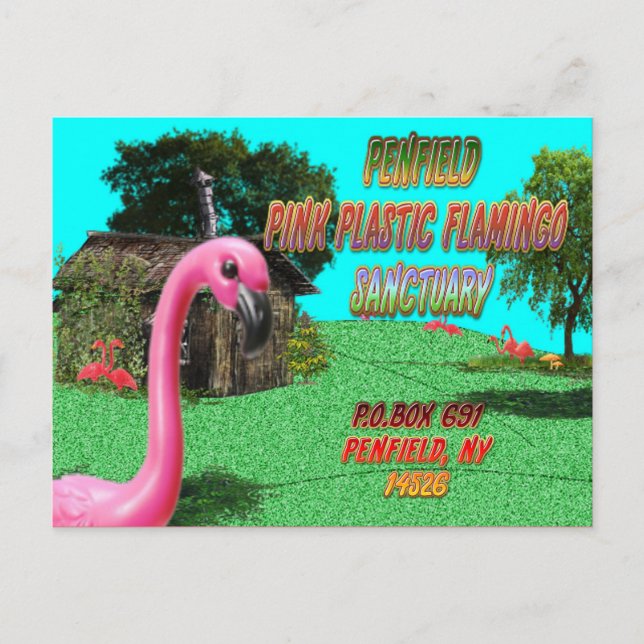penfield rosa plastflamingo fristad vykort (Framsida)