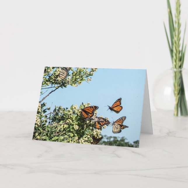 Pengar Kort (Framsida)